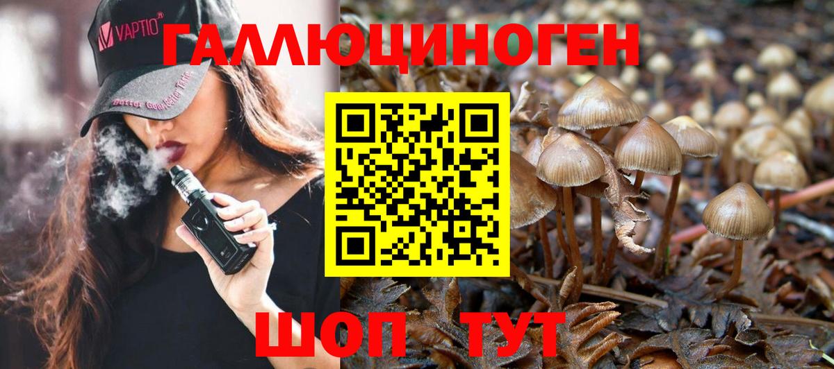 Галлюциногенные грибы GOLDEN TEACHER  Вход с VPN  Россия  Псилоцибиновые грибы Cubensis 