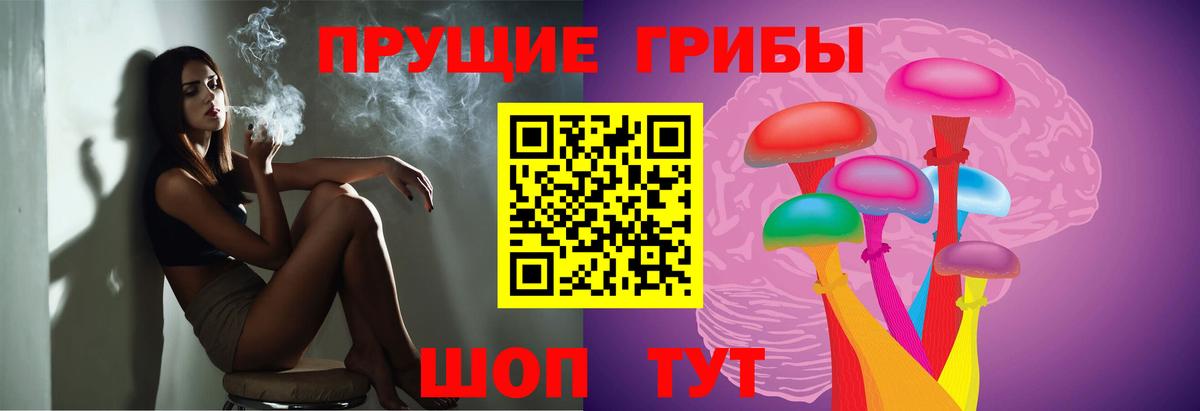 Псилоцибиновые грибы Cubensis Россия